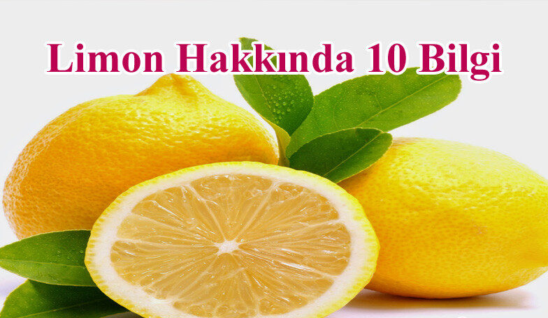 Limon hakkında 10 bilgi