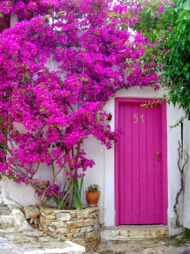 Rengarenk çiçekli kapı giriş tasarımları