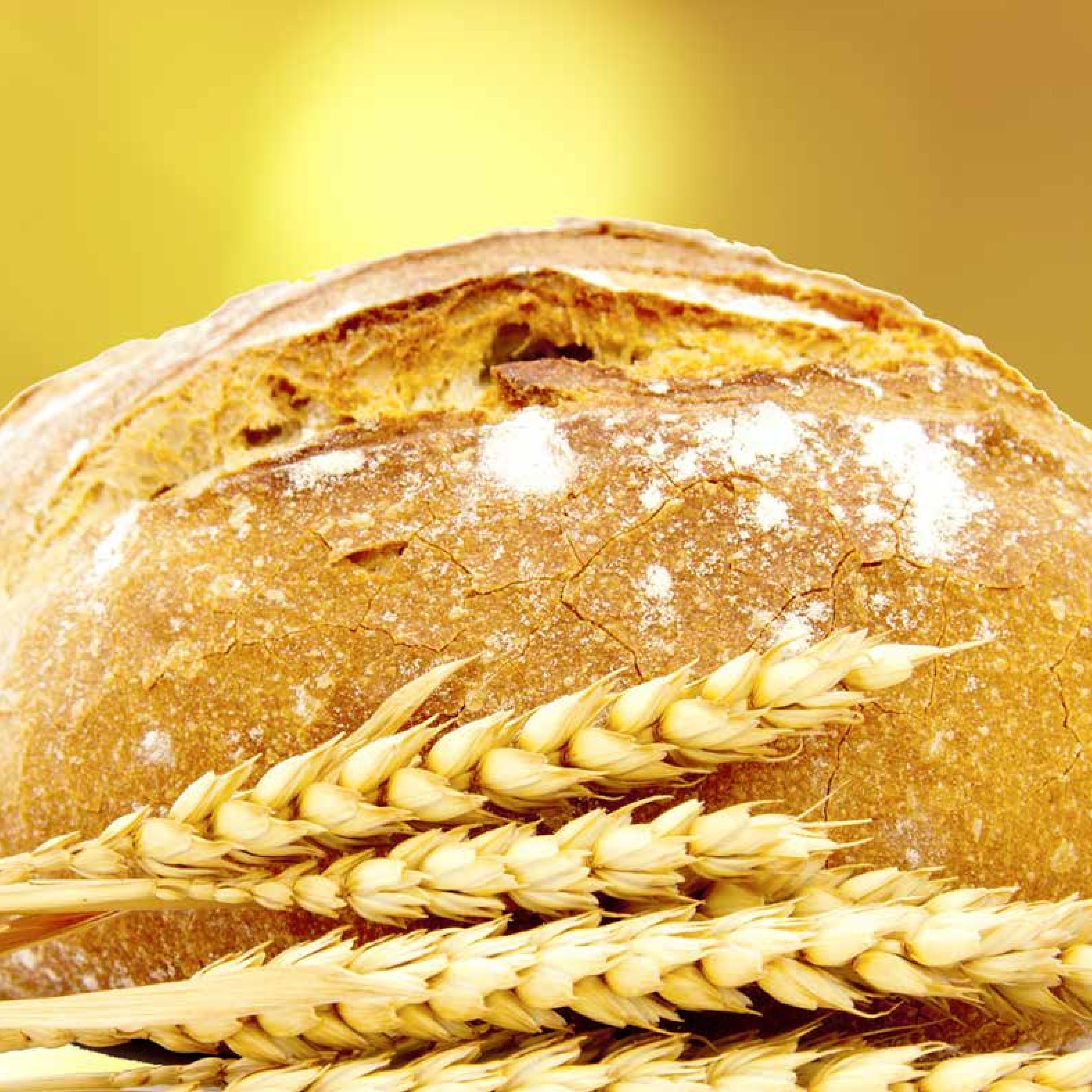 Bayat Ekmek ile Yapılan Yemek Tarifleri