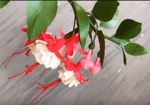 Kağıttan Küpe (Fuchsia) Çiçeği Yapımı