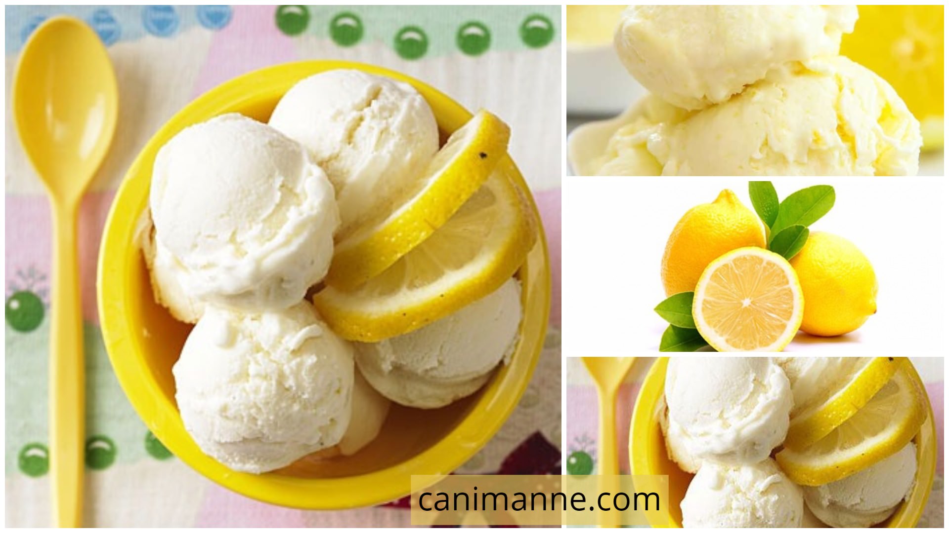 Yoğurtlu Limonlu Dondurma Pratik
